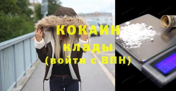 прущие крисы Бородино