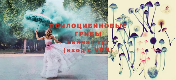 прущие крисы Бородино